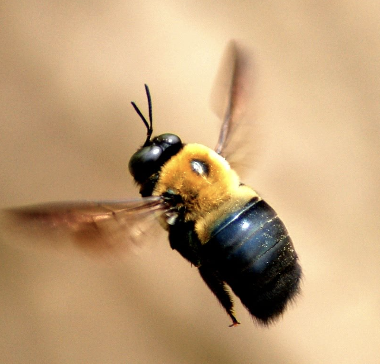 Screenshot 2026-03-12 at 3.32