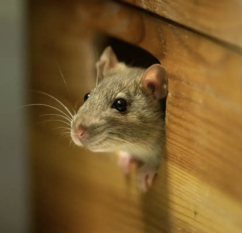 Screenshot 2026-03-12 at 5.04